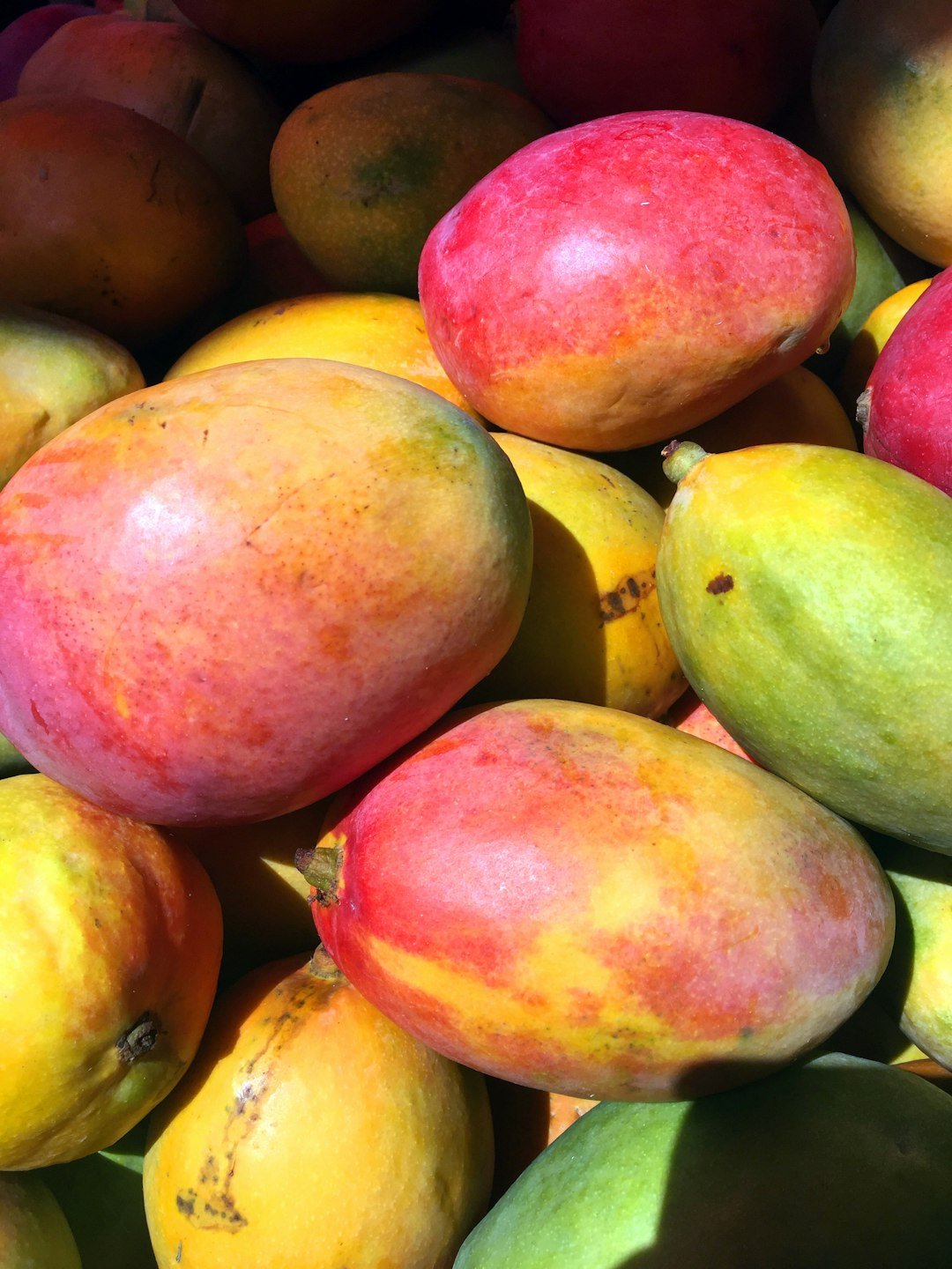 Indian mangoes for mango pulp