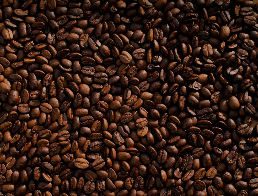 Indian coffee beans